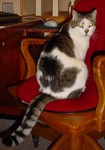 Eddie10-06