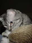 Luna05