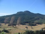 IMG_0882.JPG
