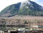 IMG_0062.JPG