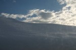IMG_5231.JPG