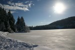 IMG_5239.JPG