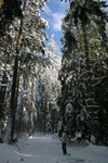 IMG_5241.JPG