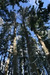 IMG_5242.JPG