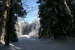 IMG_5243.JPG