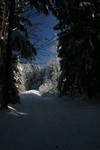 IMG_5244.JPG