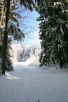 IMG_5245.JPG