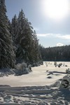 IMG_5247.JPG