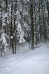 IMG_5248.JPG