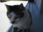 eddy up close and personal.JPG
