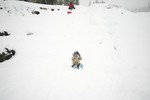 IMG_5573.JPG