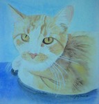 Jake01-07.JPG