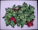 Monarch Medley - Watercolor-2002