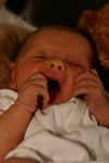 IMG_3178.JPG