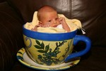 Highlight for Album: Wyatt Dawson Mellings